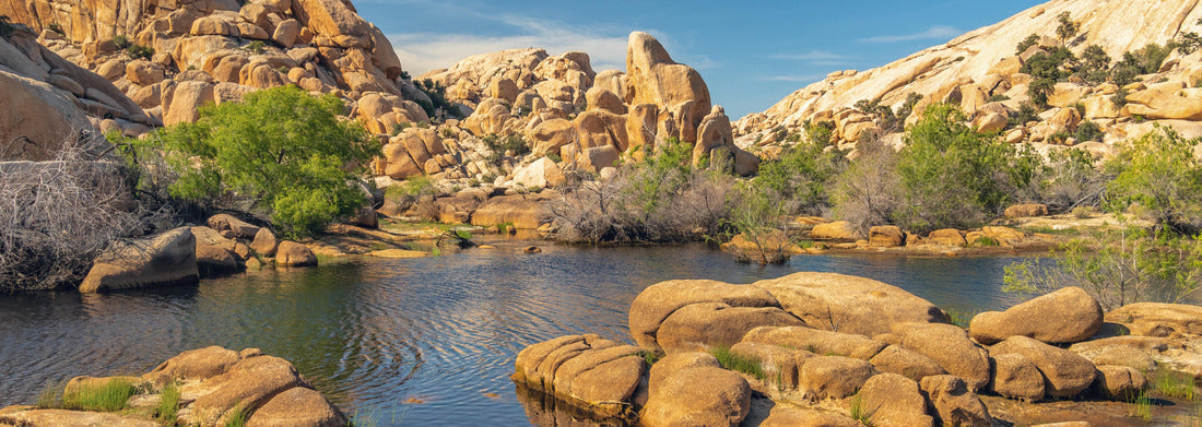 Noah Jigsaw Puzzle Joshua Tree National Park, California. The wonderland of rocks and reservoir above the Barker Dam panorama 1000 pieces