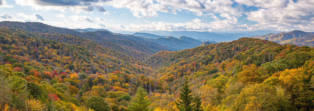Noah Jigsaw Puzzle Great Smoky Mountains National Park, Tennessee, USA overlooking the Newfound Pass in autumn panorama 1000 pieces