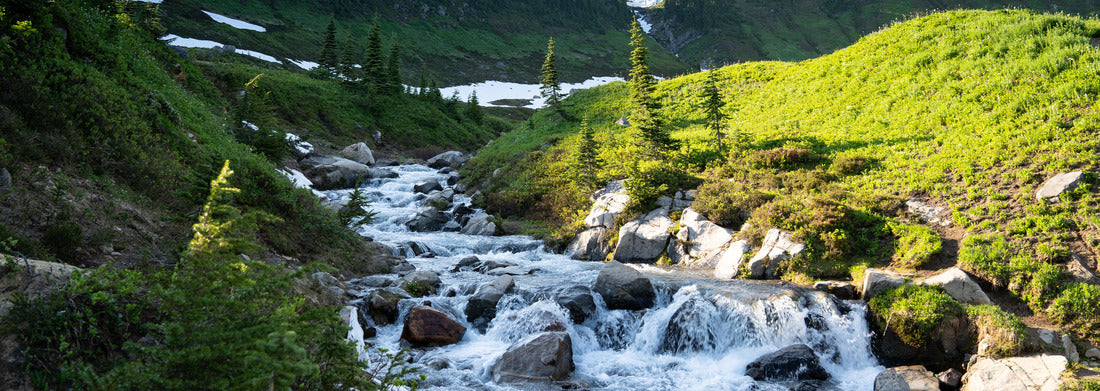 Noah Jigsaw Puzzle Myrtle Falls in Mount Rainier National Park in Washington State panorama 1000 pieces