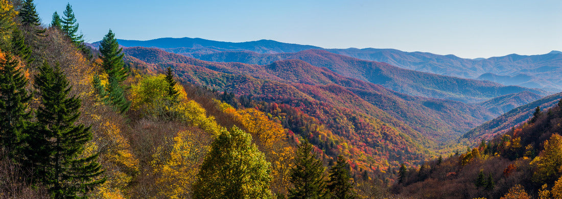 Noah Jigsaw Puzzle Autumn Scenics in the Great Smoky Mountains National Park panorama 1000 pieces