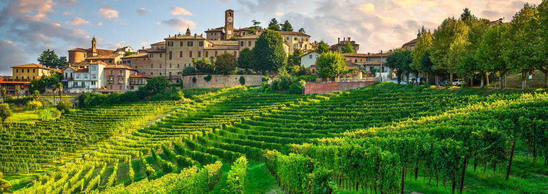 Noah Jigsaw Puzzle Neive village and Langhe vineyards, Unesco site, Piedmont, northern Italy Europe panorama 1000 pieces