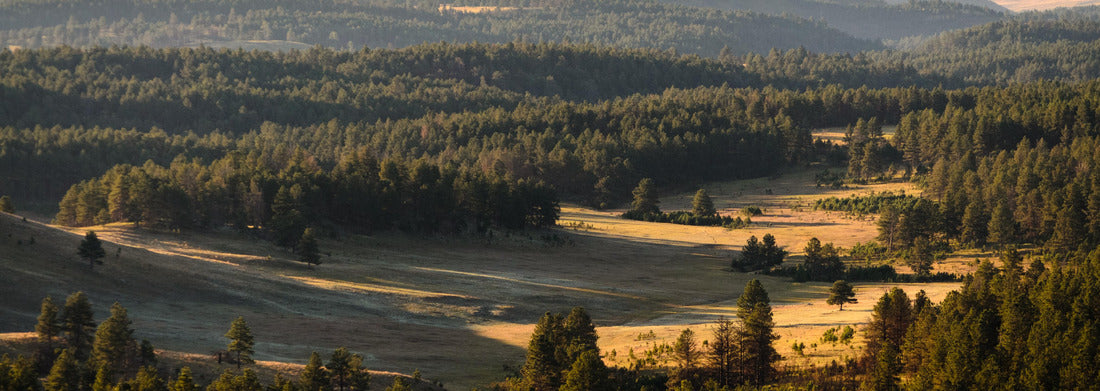 Noah Jigsaw Puzzle Wind Cave National Park, South Dakota panorama 1000 pieces