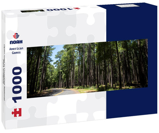 Noah Jigsaw Puzzle Open road in Congaree National Park entrance panorama 1000 pieces
