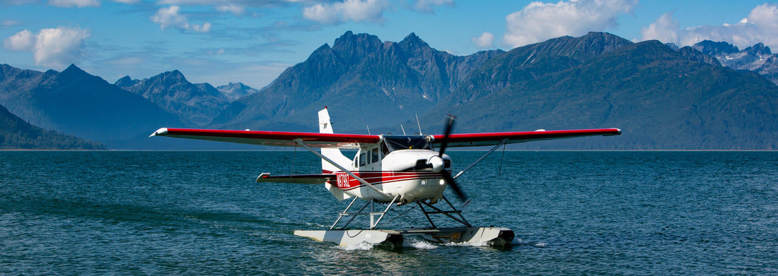 Noah Jigsaw Puzzle Lake Clark National Park and Preserve, Cook Inlet, Kenai Peninsula, Alaska, Floatplane, Mount Iliamna Volcano panorama 1000 pieces