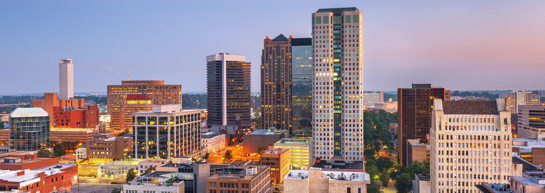 Noah Jigsaw Puzzle Birmingham, Alabama, USA downtown city skyline at twilight panorama 1000 pieces