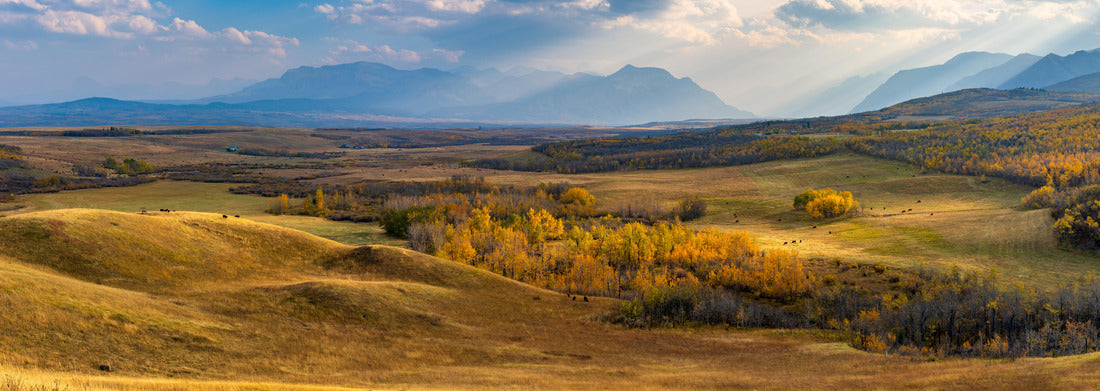 Noah Jigsaw Puzzle Great Plains and forest in beautiful fall. Sunlight through blue sky and clouds on mountains. Autumn color background. Waterton Scenic Spot, Waterton Lakes National Park, Alberta, Canada panorama 1000 pieces