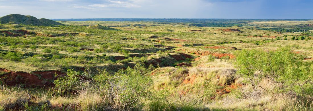 Noah Jigsaw Puzzle Beautiful Lake Meredith National Recreation Area in Texas, USA panorama 1000 pieces