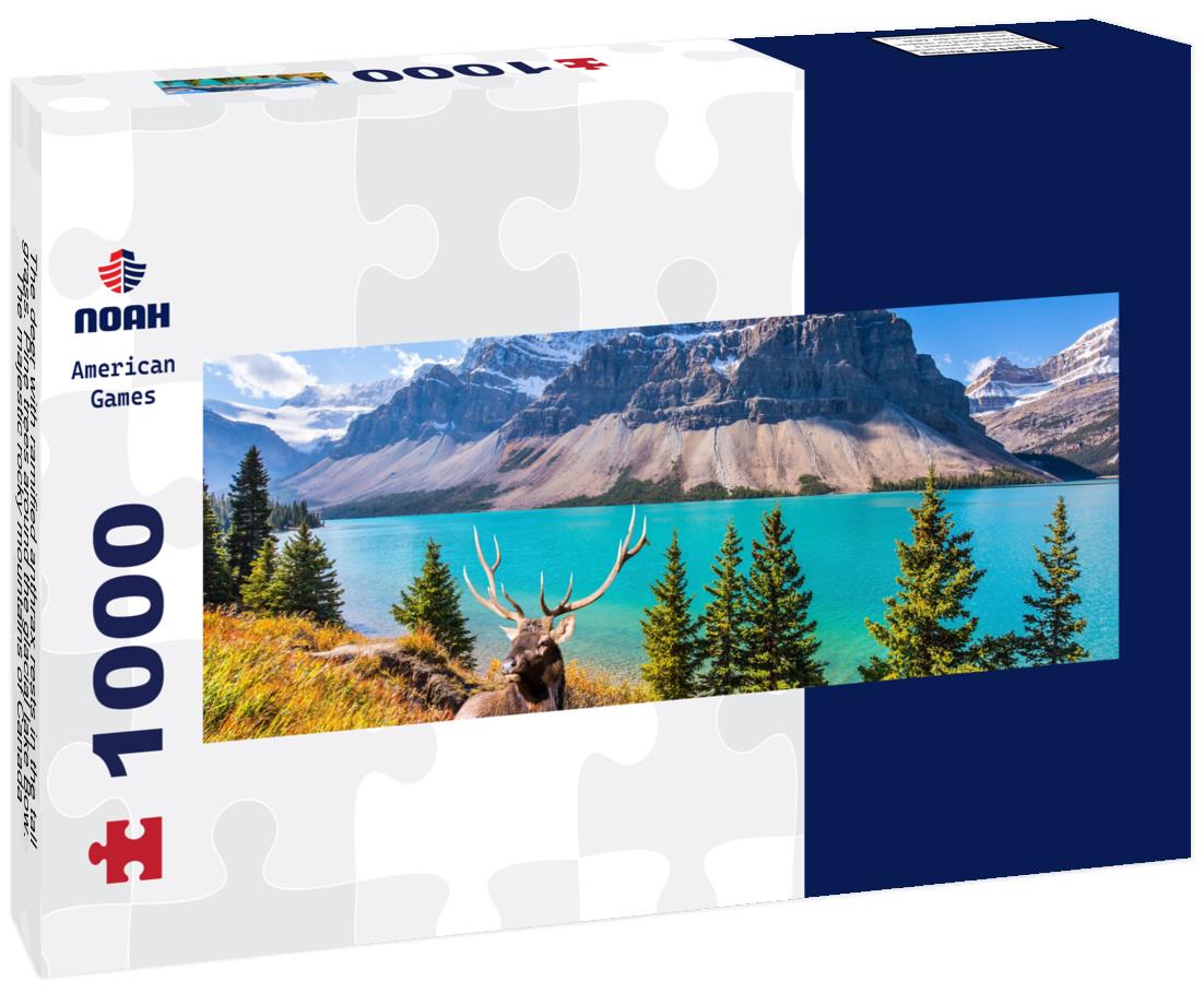 Noah Jigsaw Puzzle The deer with ramified anthrax rests in the tall grass. Pine trees around the glacial lake Bow. The majestic rocky mountains of Canada panorama 1000 pieces