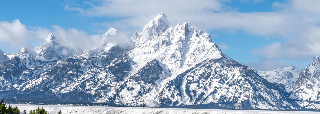 Winter Landscape in the Grand Teton National Park, Wyoming 1000pc Panoramic Puzzle