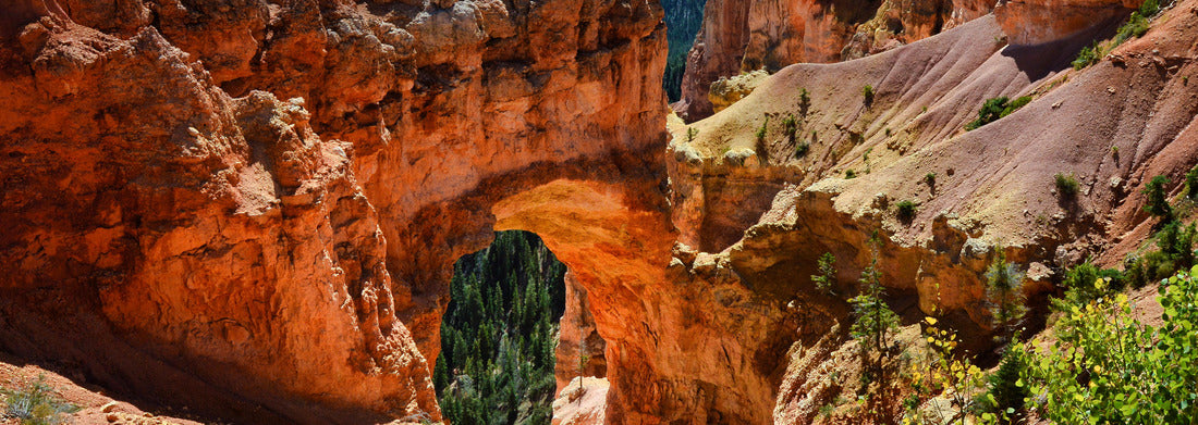 Noah Jigsaw Puzzle Bryce Canyon National Park in Utah, USA panorama 1000 pieces