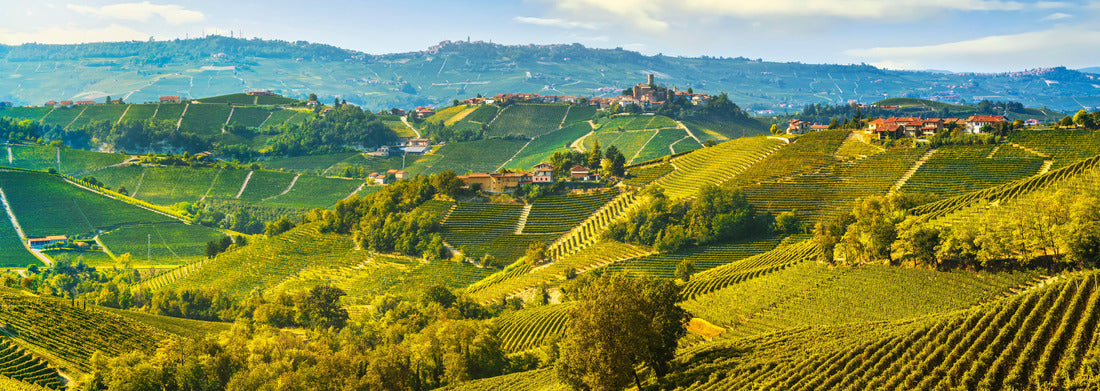 Noah Jigsaw Puzzle Langhe vineyards landscape and Castiglione Falletto village panorama, Unesco site, Piedmont, northern Italy panorama 1000 pieces