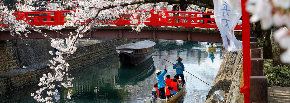 Noah Jigsaw Puzzle Tourists take a Hanami Boat Tour along Suimon-Gawa Canal under a red bridge and beautiful cherry blossoms (Sakura) in Ogaki panorama 1000 pieces