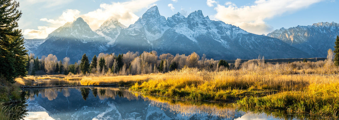Noah Jigsaw Puzzle Schwabacher landing Grand Teton National Park panorama 1000 pieces