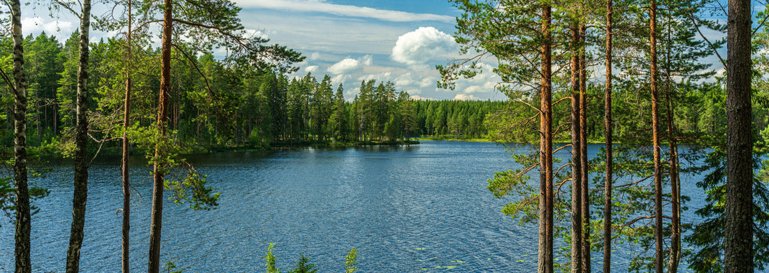 Noah Jigsaw Puzzle Beautiful view of the lake from a small lake in Sweden, with lush green trees, blue sky and sunlight panorama 1000 pieces