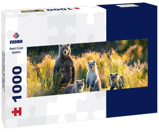 Noah Jigsaw Puzzle Brown bear family next to the Brooks River, fall landscape, Katmai National Park, Alaska panorama 1000 pieces