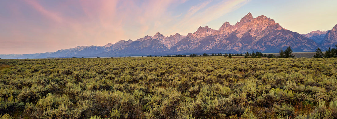Noah Jigsaw Puzzle Sunrise at the Grand Teton National Park. Wyoming. United States panorama 1000 pieces