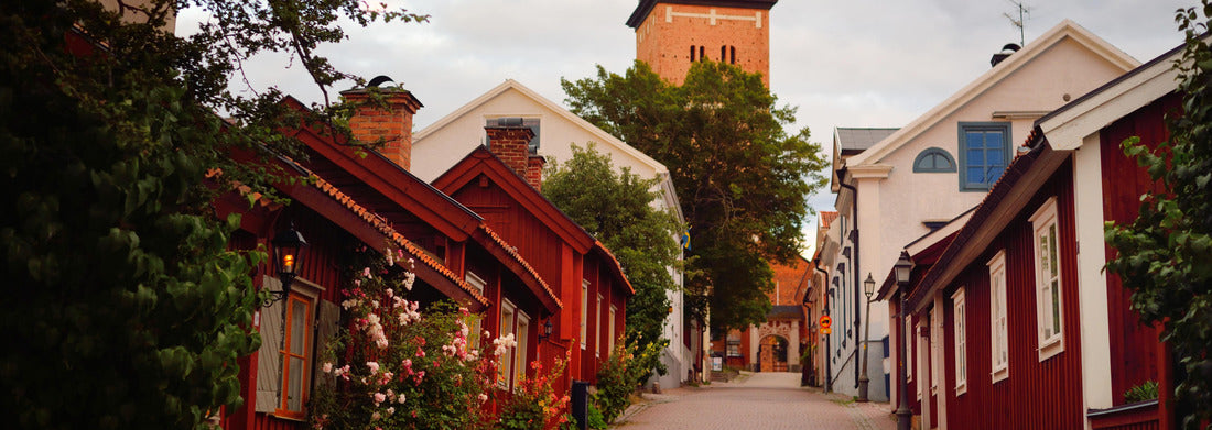 Noah Jigsaw Puzzle An empty street to the cathedral. Traditional swedish architecture. Strängnäs, Mälaren lake, Sweden panorama 1000 pieces