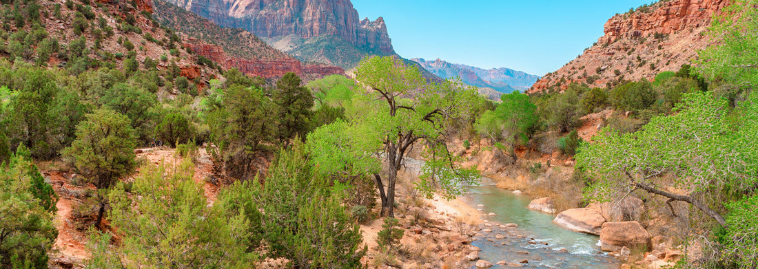 Noah Jigsaw Puzzle Beautiful landscape of red rocks in Zion National Park, Utah, USA panorama 1000 pieces