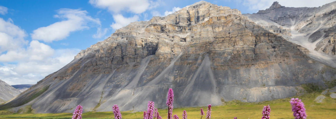 Noah Jigsaw Puzzle Landscape view of Gates of the Arctic National Park (Alaska), the least visited national park in the United States panorama 1000 pieces