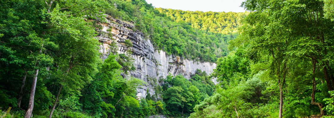 Noah Jigsaw Puzzle Buffalo National River in Arkansas near Steel Creek campground and the town of Ponca panorama 1000 pieces