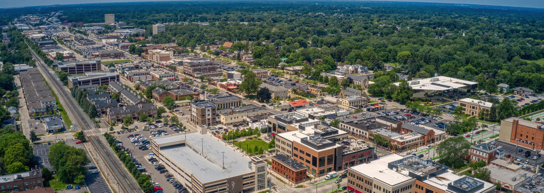 Noah Jigsaw Puzzle Dearborn, Michigan in Summer panorama 1000 pieces