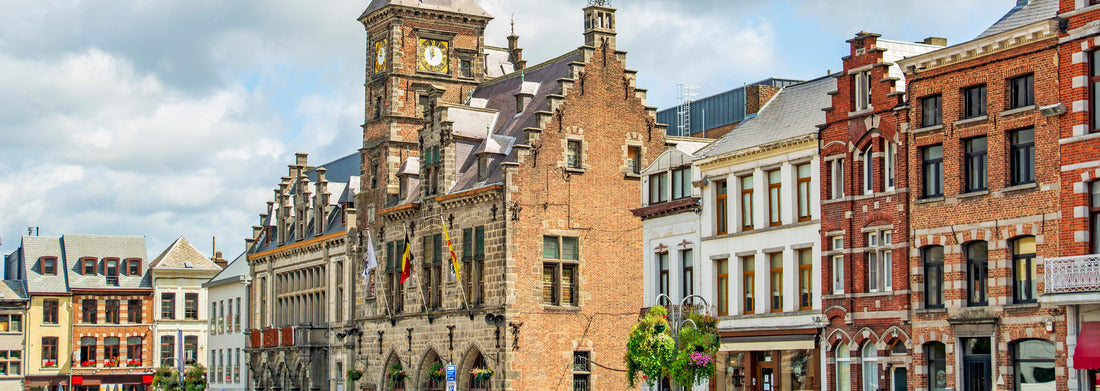 Noah Jigsaw Puzzle Binche (Bing), Wallonia, Gothic town hall on main square, city in Belgium panorama 1000 pieces