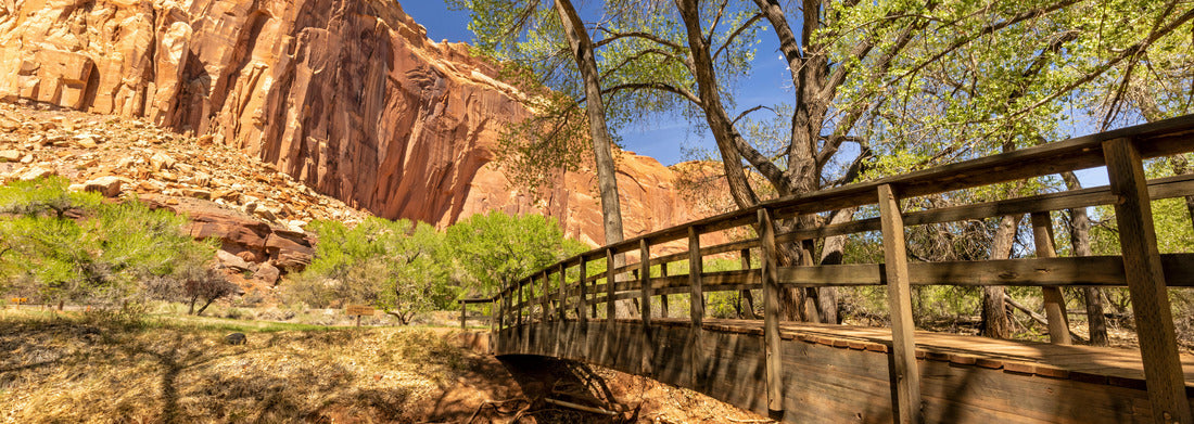 Noah Jigsaw Puzzle A wooden footbridge crosses shady Sulphur Creek in a picnic area in Capitol Reef National Park, Utah panorama 1000 pieces