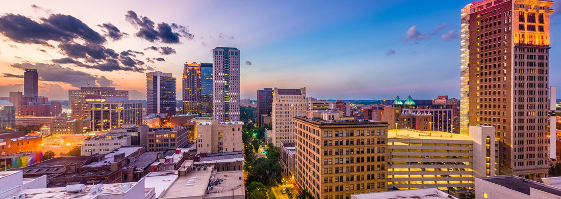 Noah Jigsaw Puzzle Birmingham, Alabama, USA downtown city skyline panorama 1000 pieces