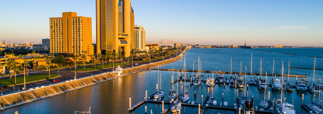 Noah Jigsaw Puzzle Corpus Christi, Texas skyline cityscape bayfront panorama 1000 pieces