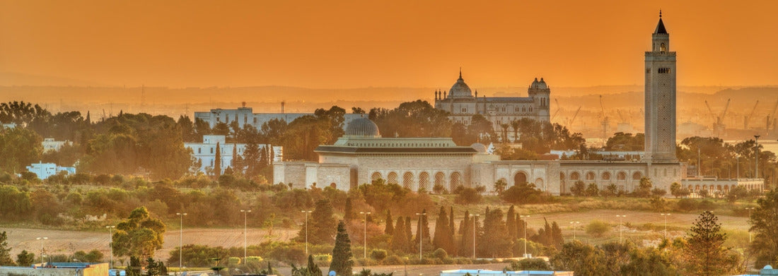 Noah Jigsaw Puzzle View of Sidi Bou Said and Carthage near Tunis in Tunisia panorama 1000 pieces