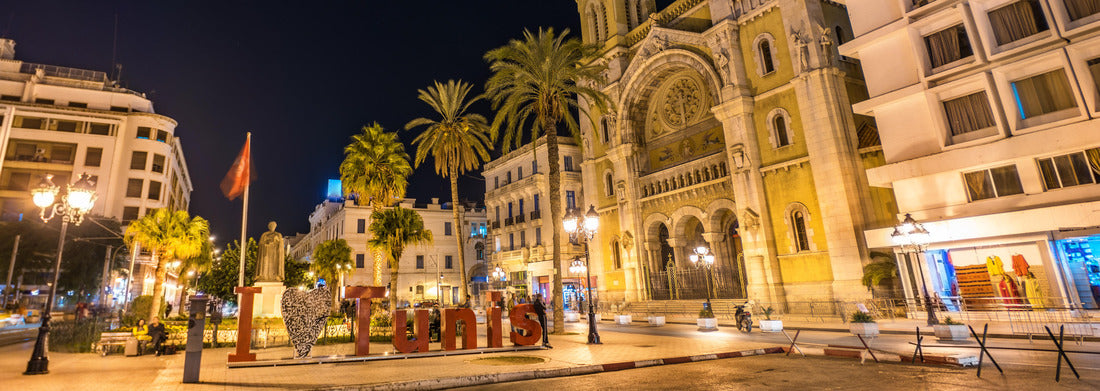 Noah Jigsaw Puzzle Cathedral of St. Vincent de Paul in Tunis, capital of Tunisia panorama 1000 pieces