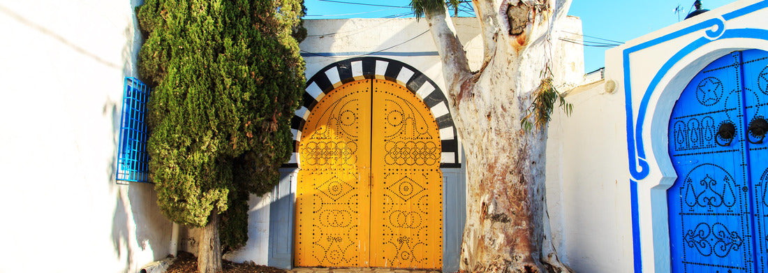 Noah Jigsaw Puzzle Traditional blue doors with ornaments in Sidi Bou Said, Tunisia panorama 1000 pieces