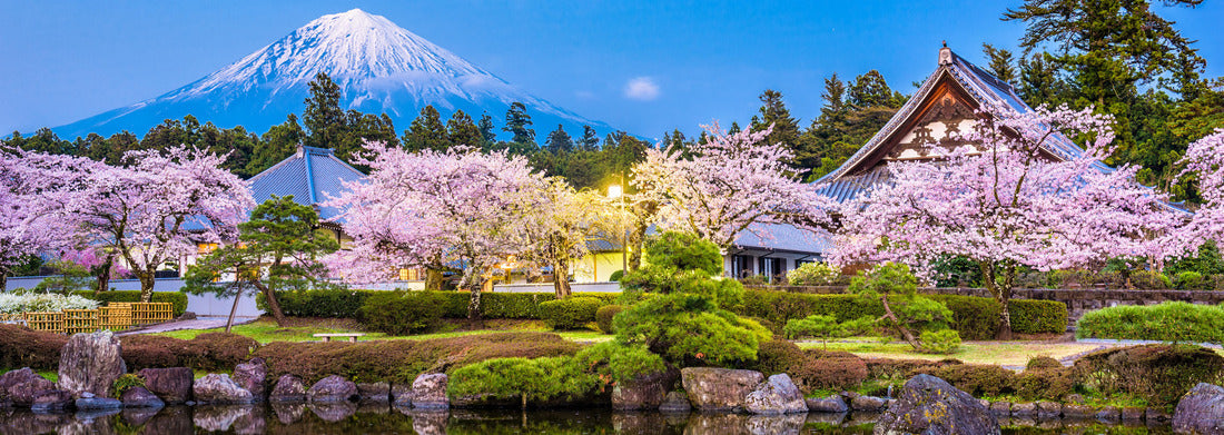 Noah Jigsaw Puzzle Fujinomiya, Shizuoka, Japan with Mt. Fuji and temples in spring season panorama 1000 pieces