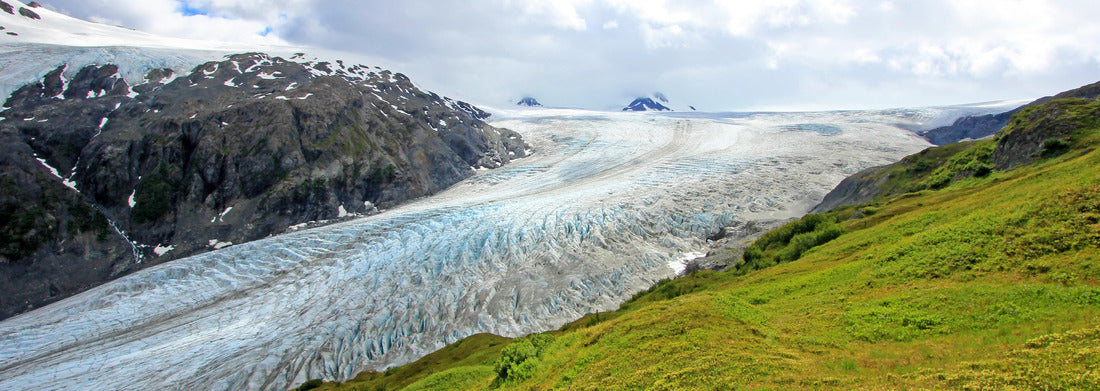Noah Jigsaw Puzzle Exit Glacier, Harding Ice Field, Kenai Fjords National Park, Alaska, USA panorama 1000 pieces