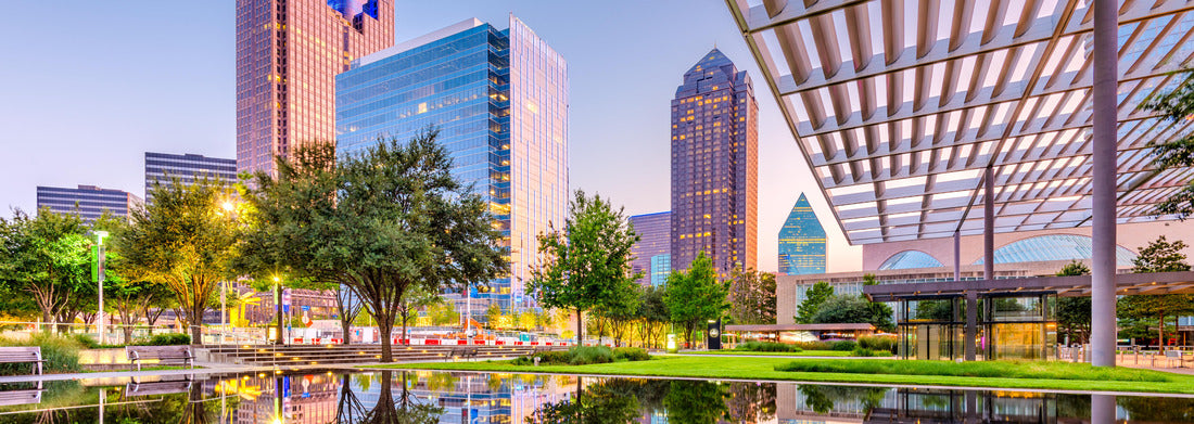 Noah Jigsaw Puzzle Dallas, Texas, USA Downtown Plaza and Skyline panorama 1000 pieces