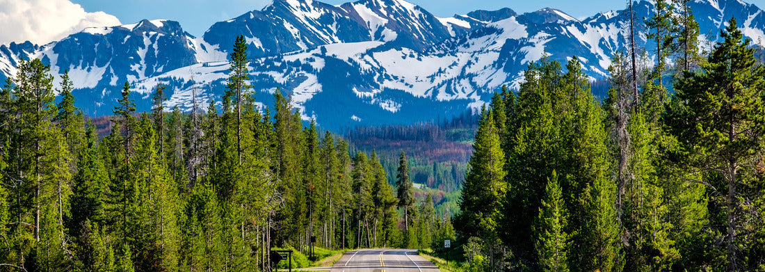 Noah Jigsaw Puzzle Road from Yellowstone National Park to Grand Teton National Park, Wyoming, USA panorama 1000 pieces