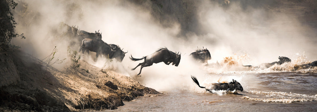 Noah Jigsaw Puzzle Wildebeest crossing the Mara River during the annual great migration. Every year, millions of animals make the dangerous crossing between Tanzania and the Masai Mara in Kenya panorama 1000 pieces