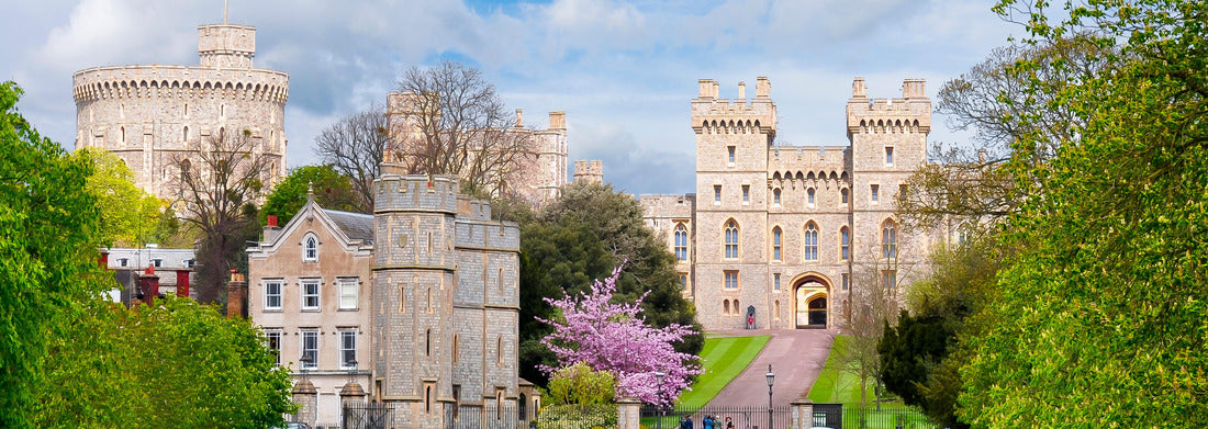 Noah Jigsaw Puzzle Long walk to Windsor castle in spring, London suburbs, UK panorama 1000 pieces