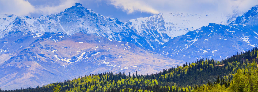 Noah Jigsaw Puzzle Drive on George Parks highway near Denali National Park and Preserve in Alaska. In the background the Alaska Range with clouds and forest is visible panorama 1000 pieces