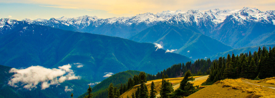 Noah Jigsaw Puzzle Olympic national park in Washington state in summer summer time is the best time to get to see a beautiful view panorama 1000 pieces