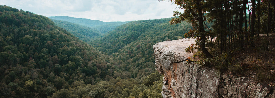 Noah Jigsaw Puzzle Bluff lines and rock formations on the Hawksbill Crag hiking trail; near Fayetteville, Arkansas panorama 1000 pieces