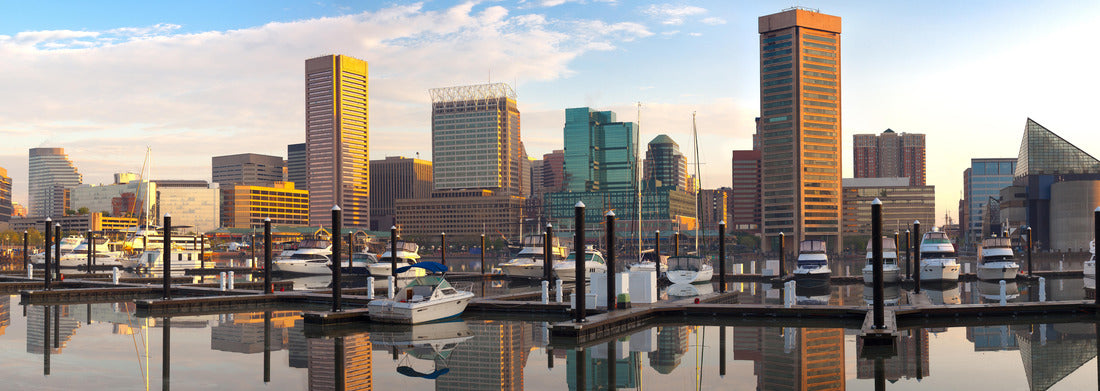 Noah Jigsaw Puzzle Downtown city skyline, Inner Harbor and marina, Baltimore, Maryland, USA panorama 1000 pieces