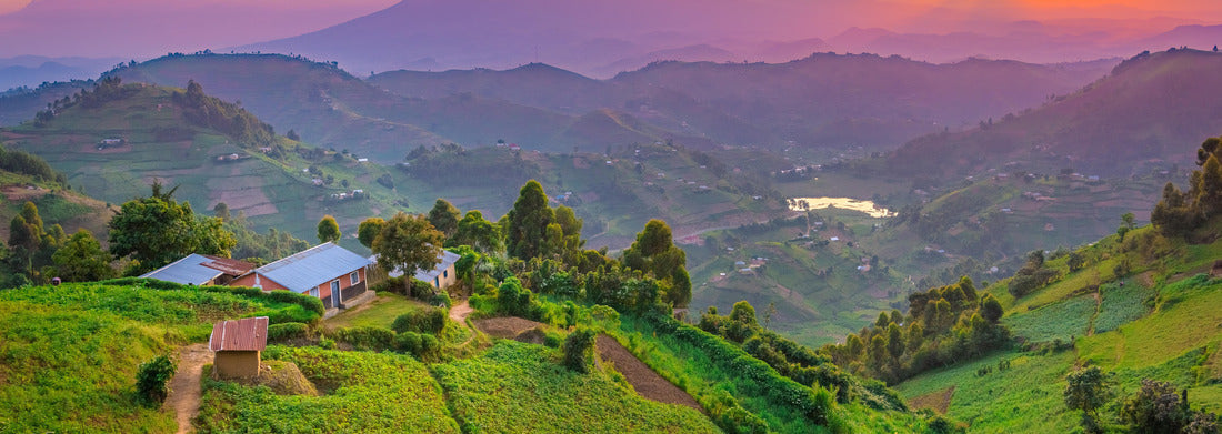 Noah Jigsaw Puzzle Kisoro Uganda beautiful sunset over mountains and hills of pastures and farms in villages of Uganda panorama 1000 pieces