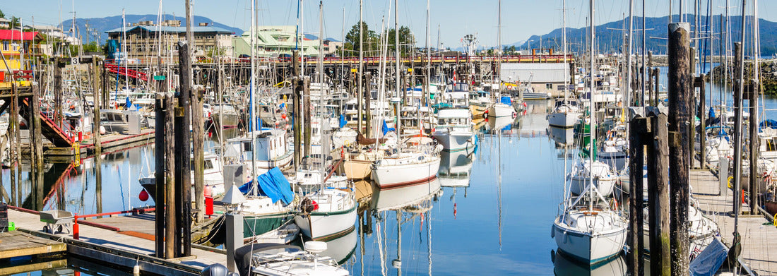 Noah Jigsaw Puzzle Campbell River Harbour on a Clear Summer Morning. Vancouver Island, BC, Canada panorama 1000 pieces