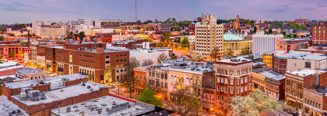 Noah Jigsaw Puzzle Macon, Georgia, USA downtown city skyline at dusk panorama 1000 pieces