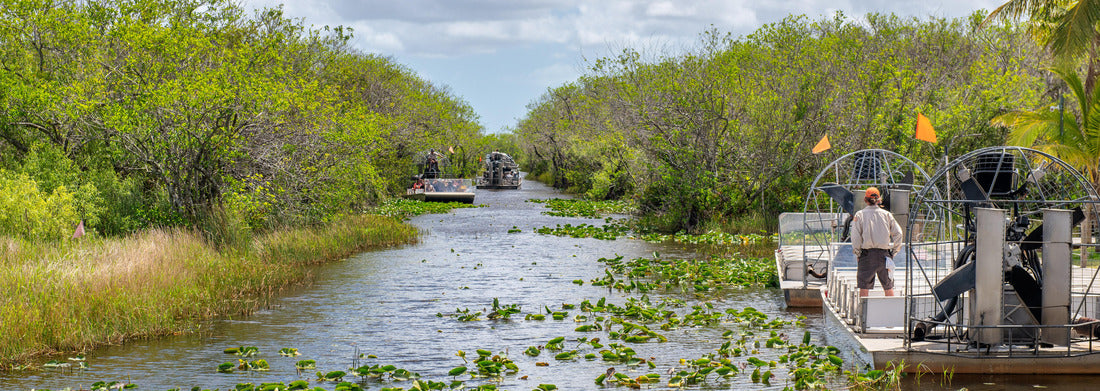 Noah Jigsaw Puzzle Airboats tours in Everglades National Park, Florida panorama 1000 pieces