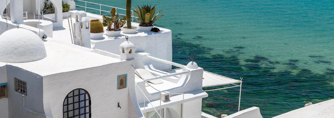 Noah Jigsaw Puzzle View of houses in the old Medina of Hammamet, Tunisia panorama 1000 pieces