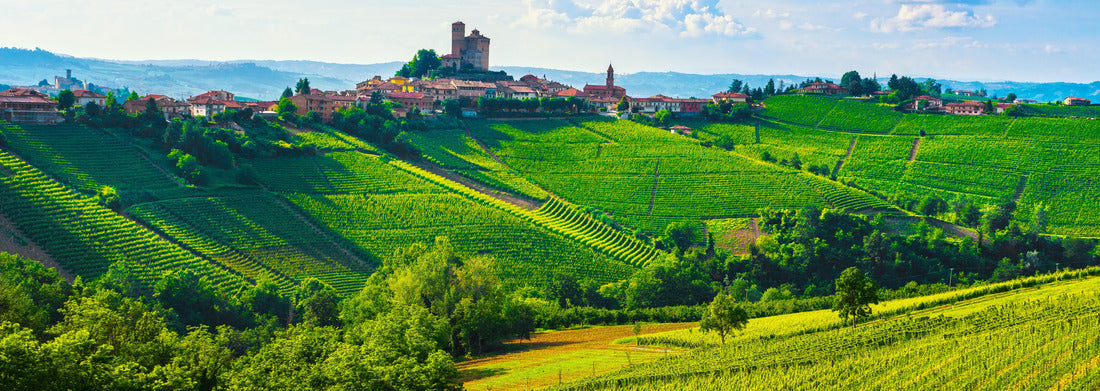 Noah Jigsaw Puzzle Langhe vineyards sunset panorama, Serralunga d'Alba, Unesco Site, Piedmont, Northern Italy panorama 1000 pieces