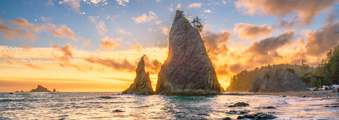 Noah Jigsaw Puzzle Olympic National Park, Washington, USA at Rialto Beach panorama 1000 pieces