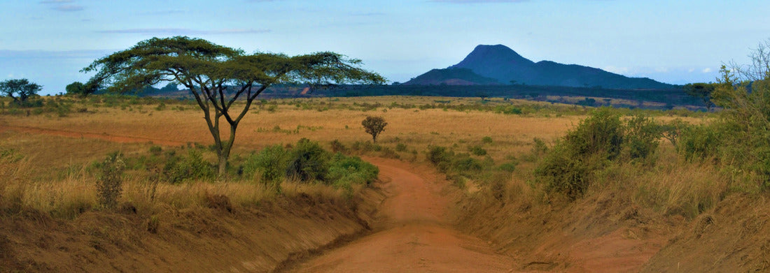 Noah Jigsaw Puzzle A dusty road, Malawi panorama 1000 pieces